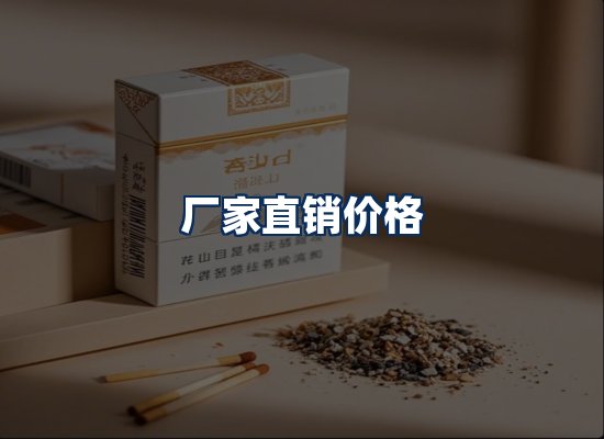 专业团队办公环境
